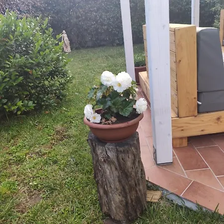 Relax Con Giardino 公寓 *